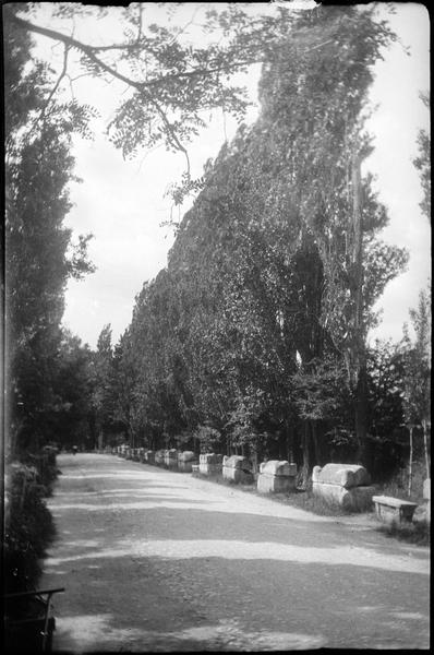 Allée des sarcophages