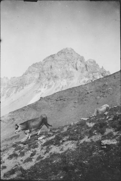 Pic du Grand Galibier, versant nord-ouest