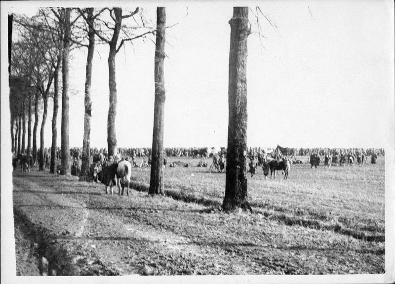 Sur le front. Concentration de troupes