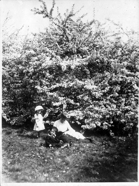Le printemps sur les collines allemandes. Arbustes à fleurs sur le bord d'un chemin