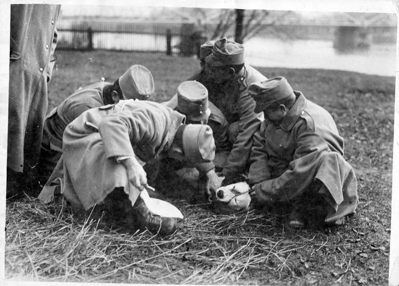 [Groupe de soldats allemands autour d'un chien blessé]