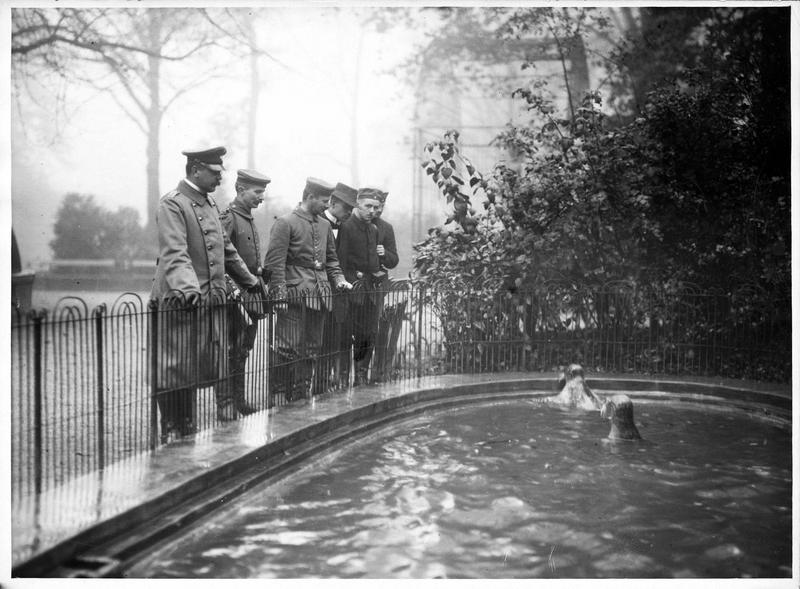 Les Allemands dans le jardin zoologique d'Anvers. [Phoques]