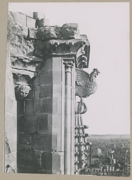 Chevet, côté sud : statue de pinacle, coq, depuis l'escalier est du croisillon sud du transept