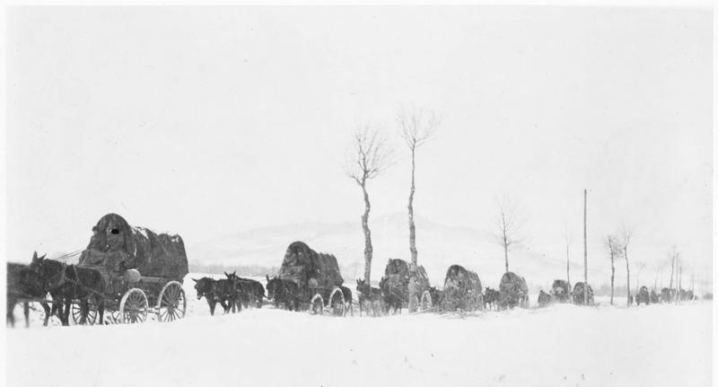 Les mules du Missouri ont elles aussi participé à la guerre, en remplaçant le train pour le ravitaillement. En effet la neige nécessite parfois l'utilisation de ce mode de transport