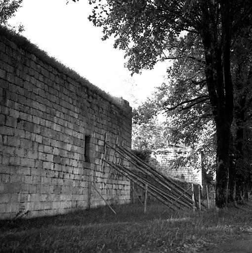 Ruines : vue extérieure