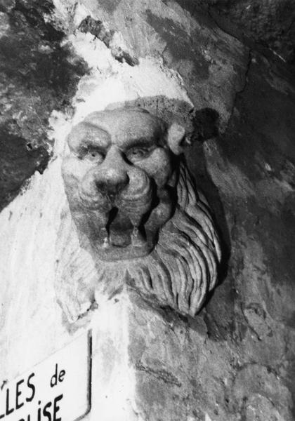 tête de lion (arête)