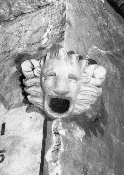 tête d'animal (arête)