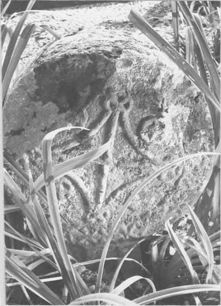 stèle discoïdale, revers, vue générale - © Ministère de la Culture (France), Médiathèque du patrimoine et de la photographie (objets mobiliers), tous droits réservés