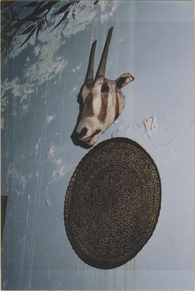 tête d'oryx naturalisée, vue générale - © Ministère de la Culture (France), Médiathèque du patrimoine et de la photographie (objets mobiliers), tous droits réservés