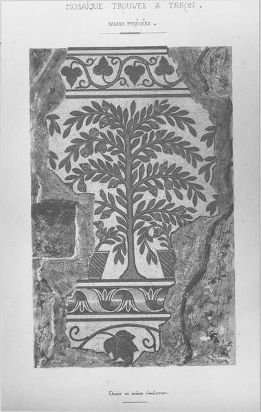 dessin du revêtement de sol (mosaïque), vue générale