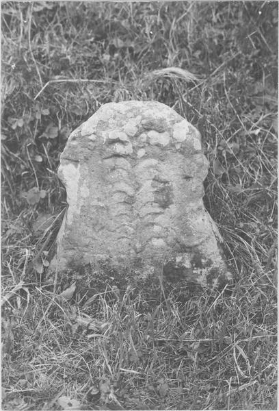 stèle discoïdale, avers , vue générale - © Ministère de la Culture (France), Médiathèque du patrimoine et de la photographie (objets mobiliers), tous droits réservés