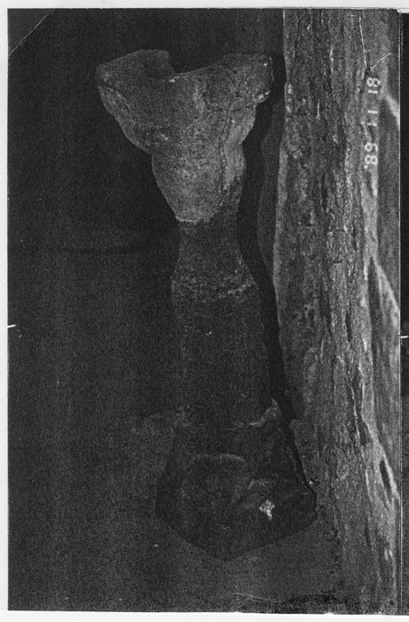 Deux éléments sculptés