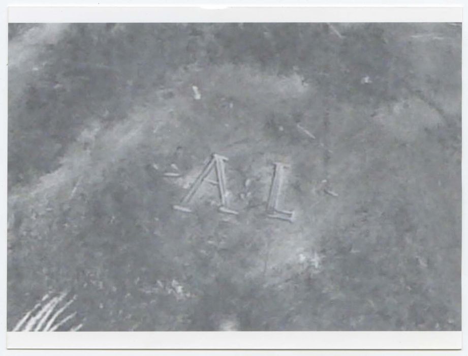 légumier n°2 détail