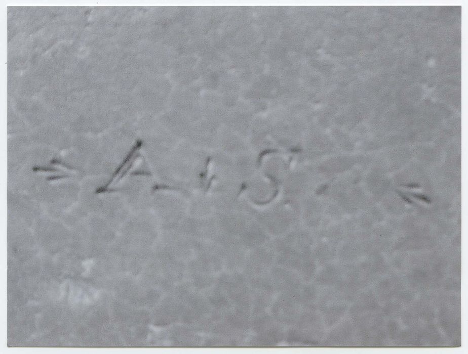 trois assiettes détail