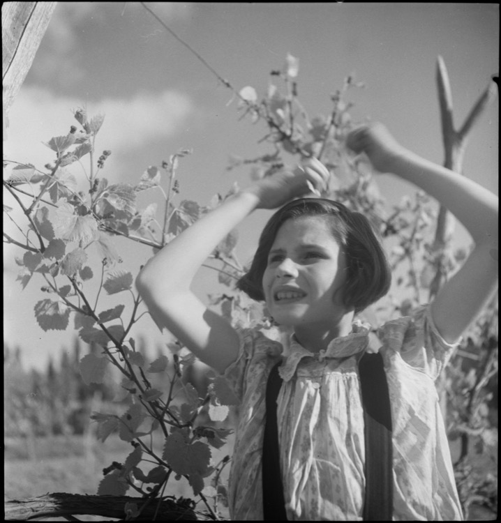 Jeune fille en buste et arbuste