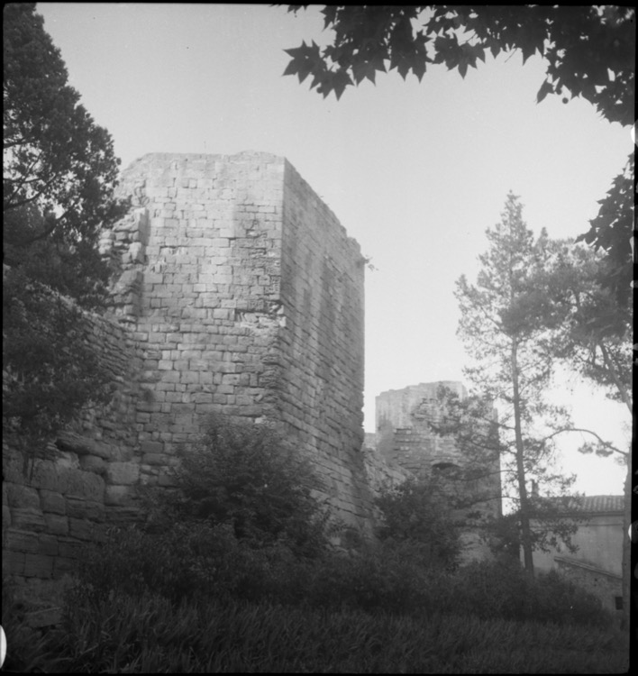 Remparts et végétation broussailleuse