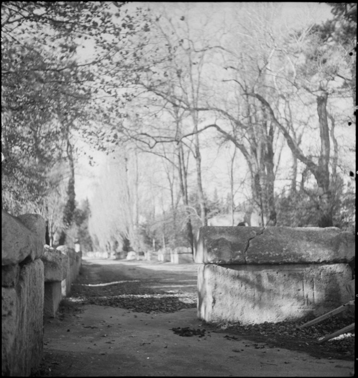 Allée du cimetière