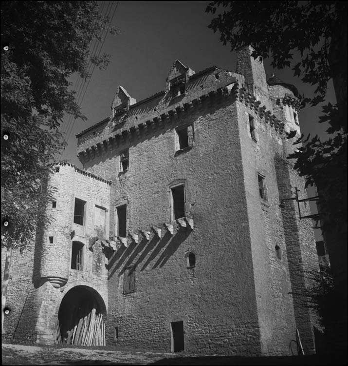 Donjon, châtelet et sa porte