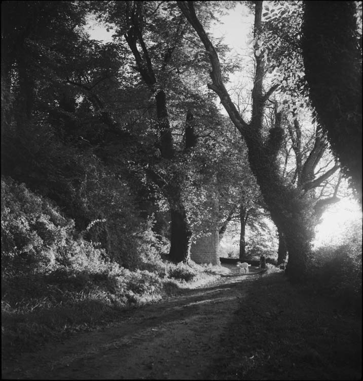 Chemin de ronde et tour