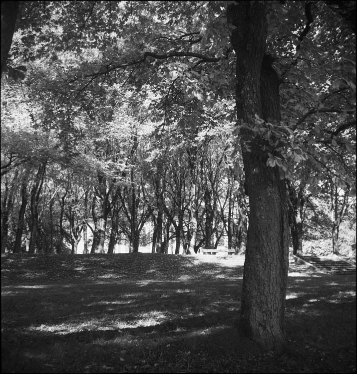 Chemin de ronde