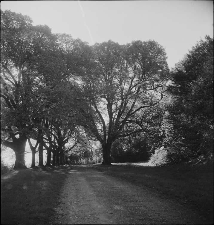 Chemin de ronde