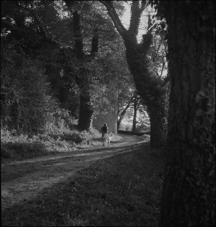 Chemin de ronde et tour ; femme promenant une chèvre