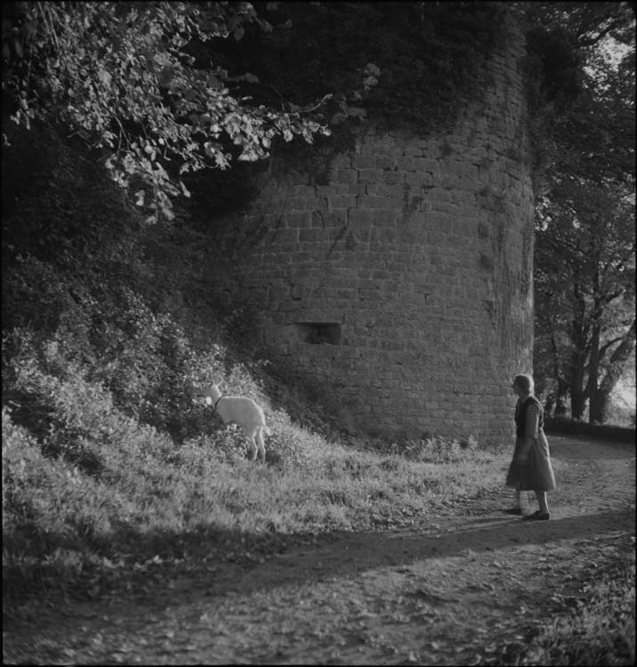 Chemin de ronde et tour ; femme promenant une chèvre