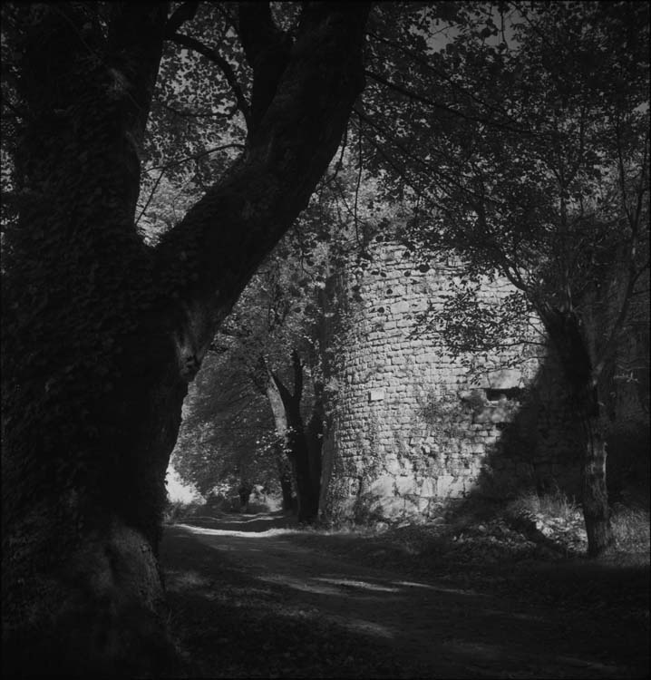 Chemin de ronde et tour