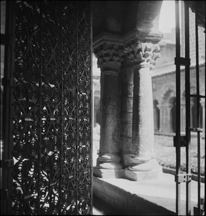 Cloître : grille en fer forgé de la galerie sud