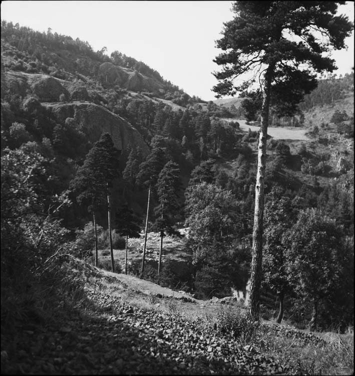 Vallée de la Loire vue des hauteurs du château