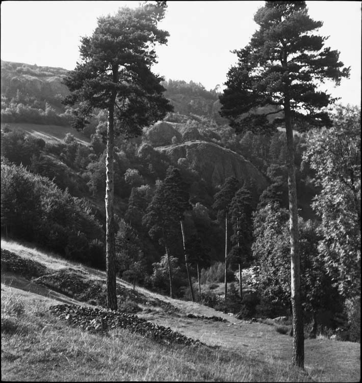 Vallée de la Loire vue des hauteurs du château