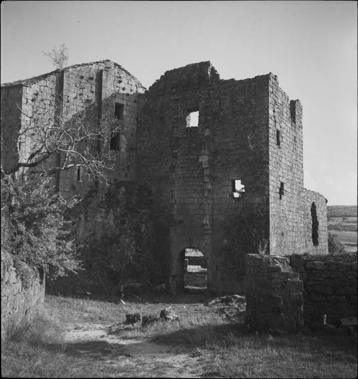 Donjon, porte en arc brisé et muraille percée de baies