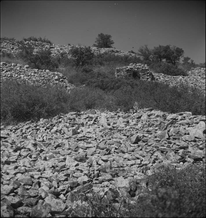 Vestiges d’habitations et rempart en pierre sèche