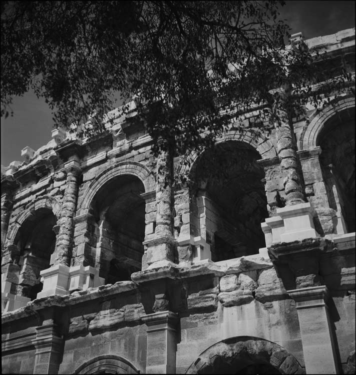 Arcades supérieures de la façade et velum, détail