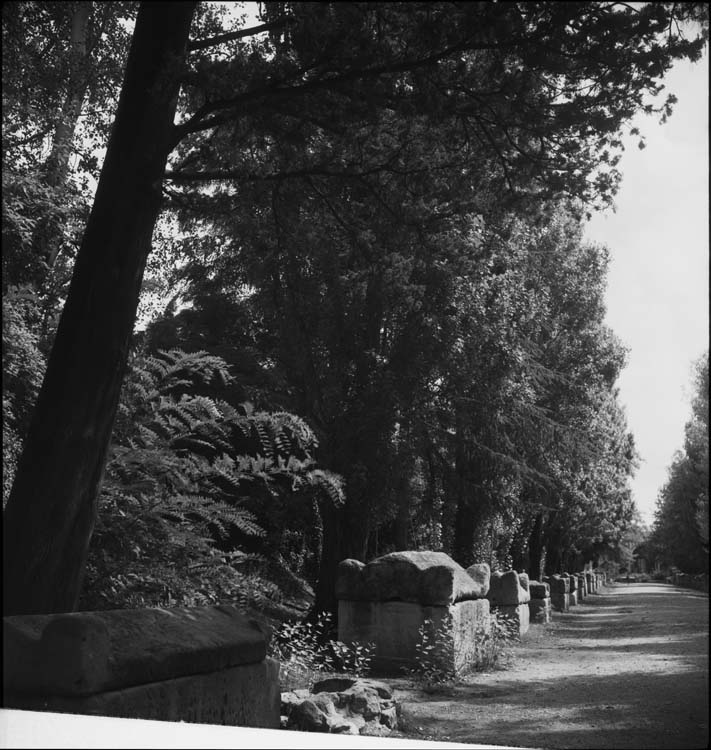 Allée du cimetière