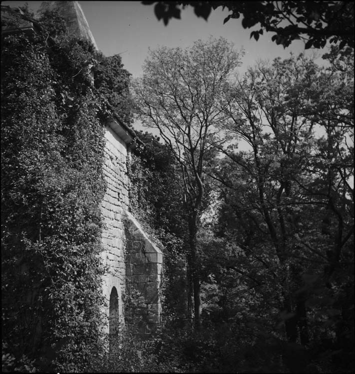 Chapelle envahie par la végétation