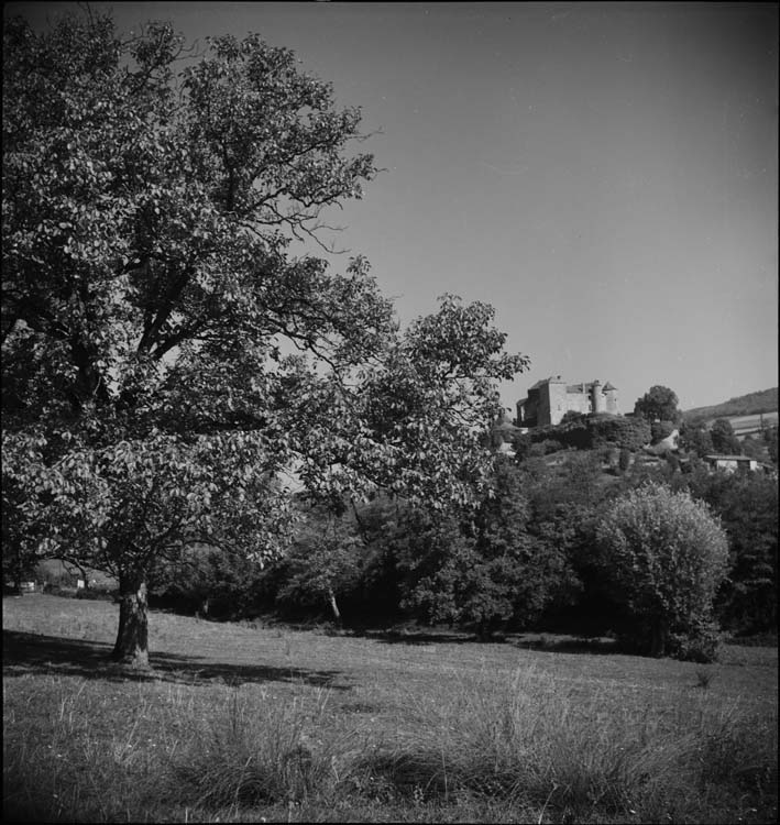 Monumenten son site