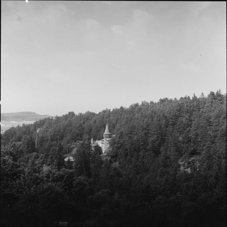 Tour apparaissant dans la forêt entourant le château