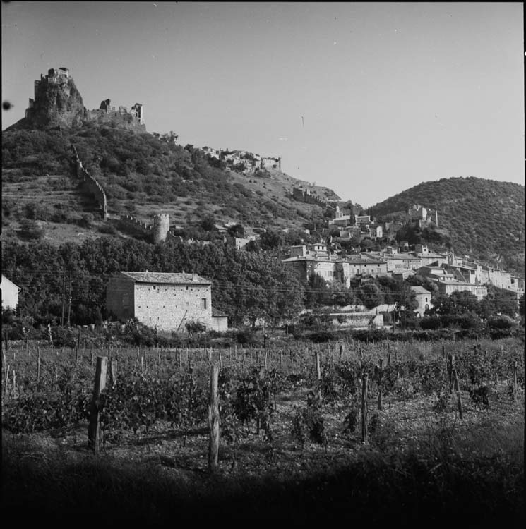 Village et château le surplombant ; vignes au premier plan