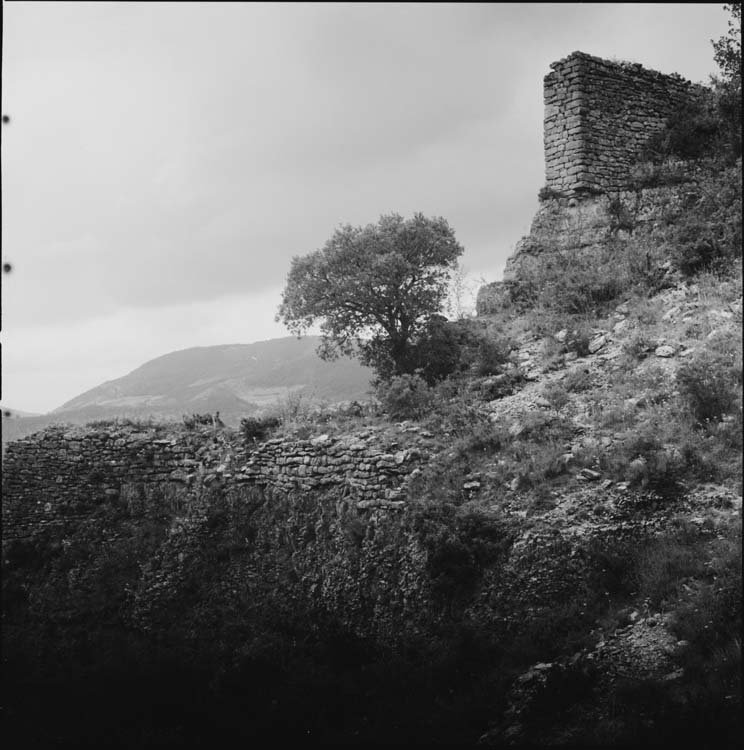 Ruines et végétation