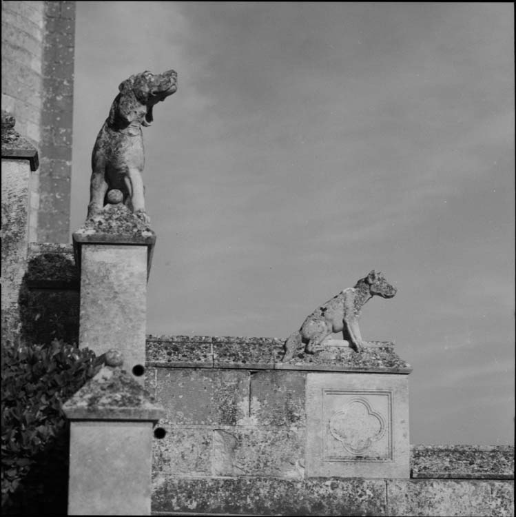 Entrée du château, sculptures représentant des chiens de chasse