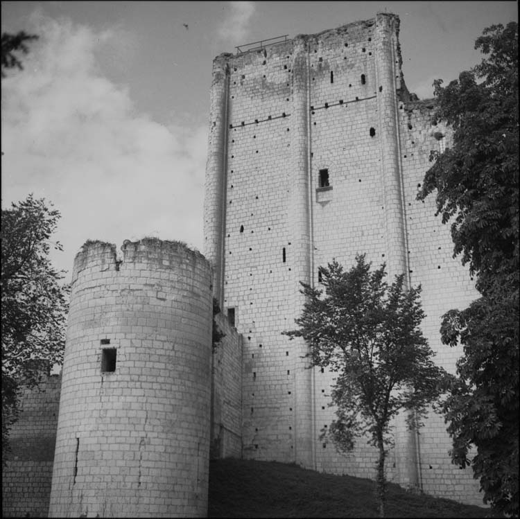 Donjon et son avant-corps