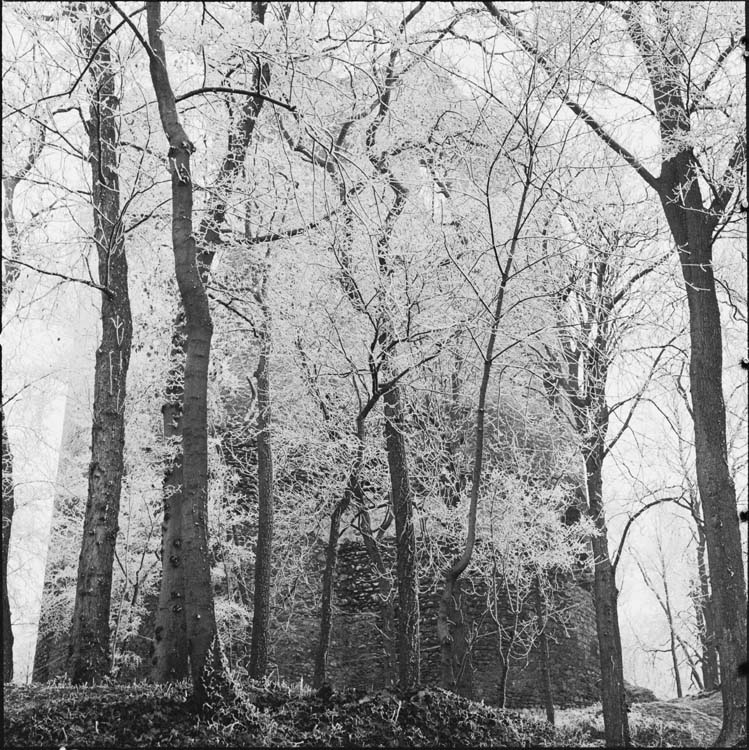 Tour et arbres couverts de givre