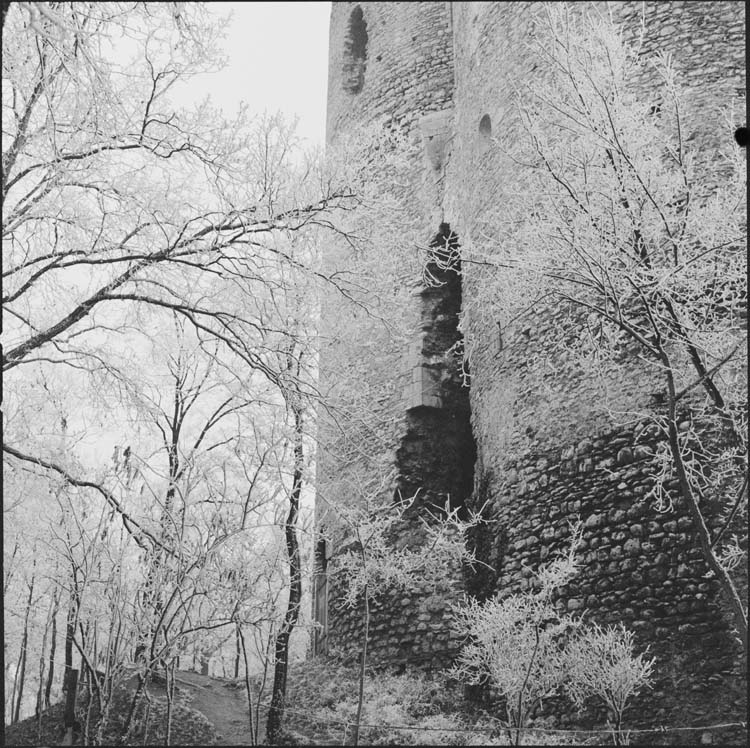 Tour et arbres couverts de givre