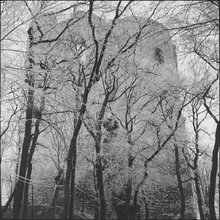 Tour et arbres couverts de givre