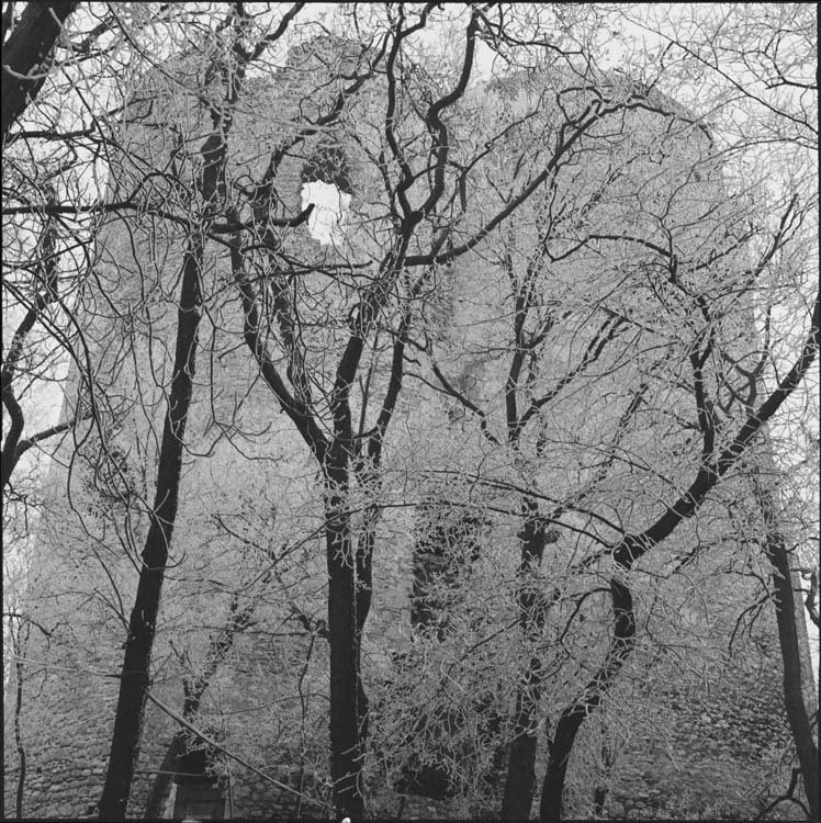 Tour et arbres couverts de givre