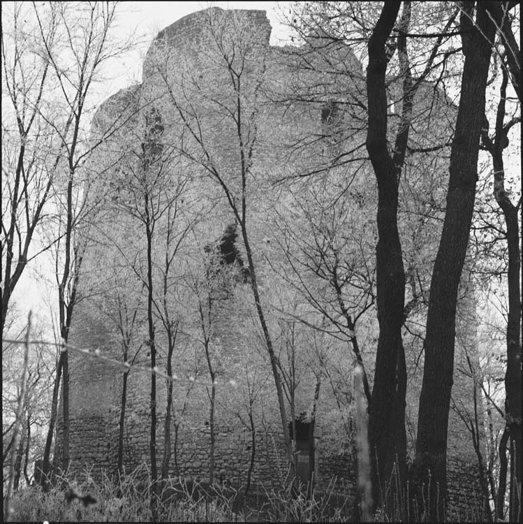 Tour et arbres couverts de givre