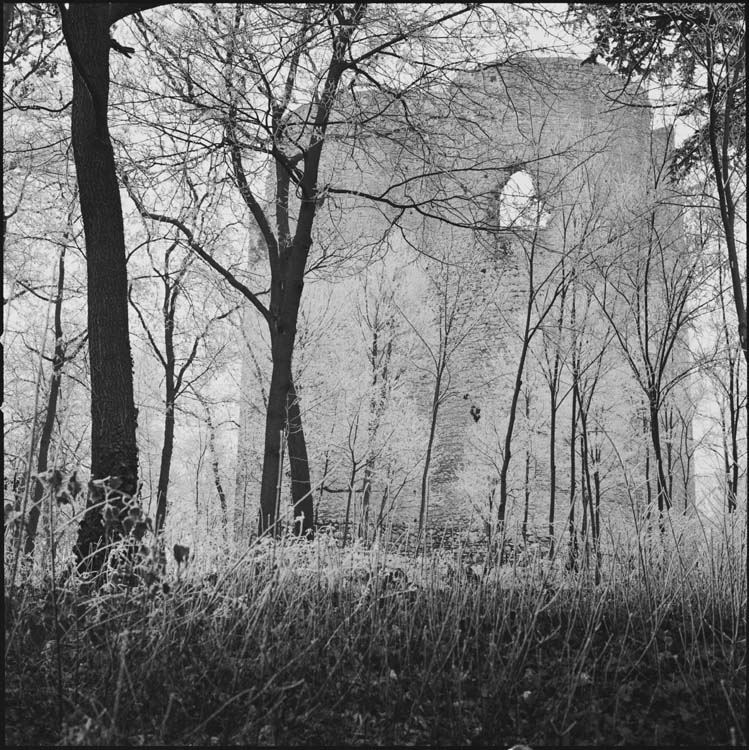 Tour et arbres couverts de givre