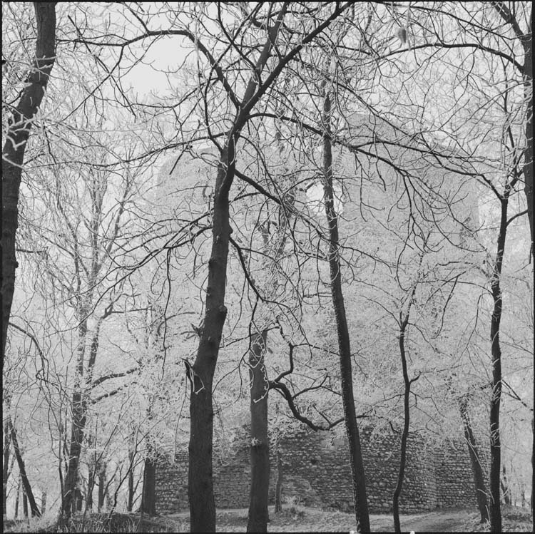 Tour et arbres couverts de givre