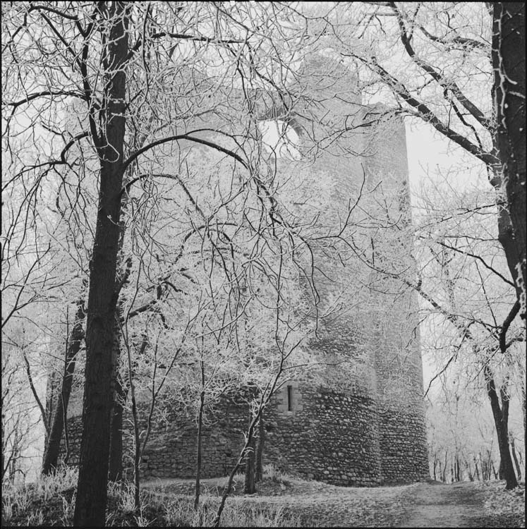 Tour et arbres couverts de givre